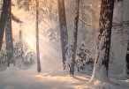 wellington_gallery036008.jpg