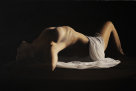 wellington_gallery049008.jpg