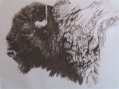wellington_gallery054008.jpg